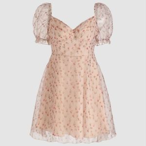 Cider Romantic Gestures Puff Sleeve Mini Dress